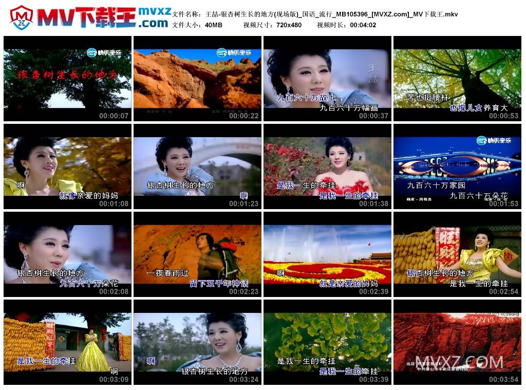 王喆-银杏树生长的地方(现场版)_国语_流行_MB105396